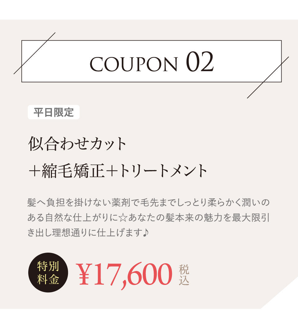 クーポンメニュー2